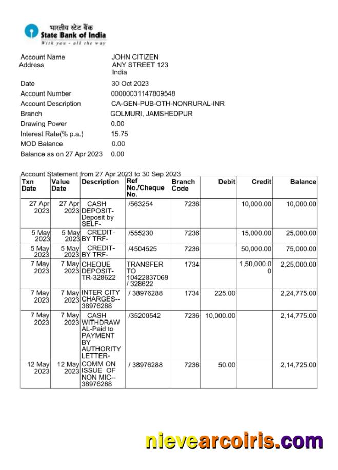 India State Bank of Inida bank statement Word and PDF scr